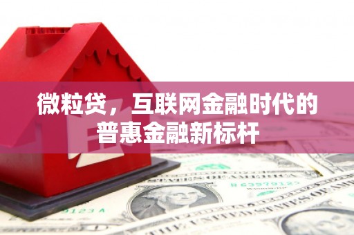新华微粒贷，互联网金融时代的普惠金融新标杆
