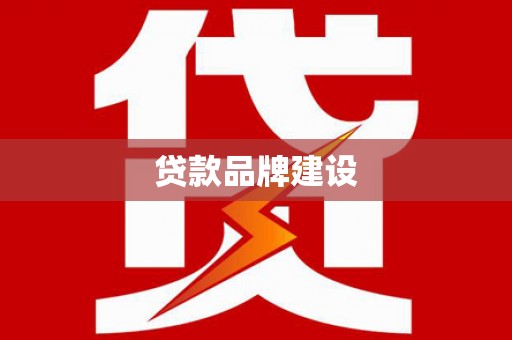 新华贷款品牌建设