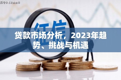 新华贷款市场分析，2023年趋势、挑战与机遇