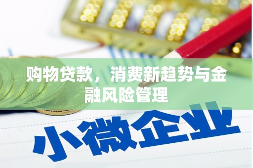 新华购物贷款，消费新趋势与金融风险管理