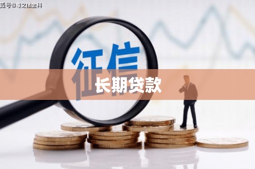 新华长期贷款