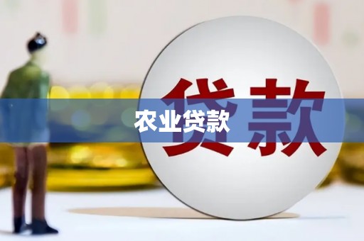 新华农业贷款