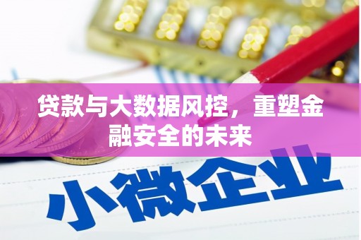 新华贷款与大数据风控，重塑金融安全的未来