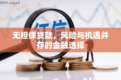 新华无担保贷款，风险与机遇并存的金融选择