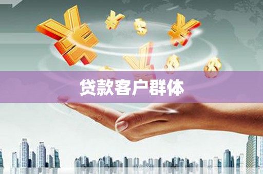 新华贷款客户群体