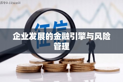 新华企业发展的金融引擎与风险管理