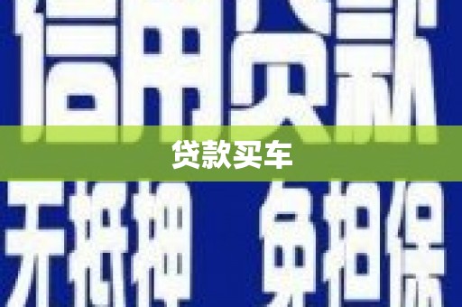 新华贷款买车