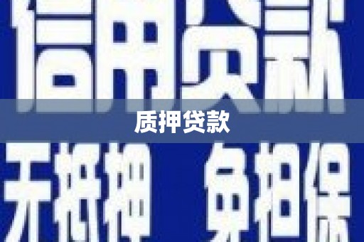 新华质押贷款