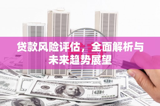 新华贷款风险评估，全面解析与未来趋势展望