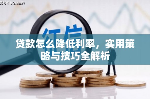 新华贷款怎么降低利率，实用策略与技巧全解析