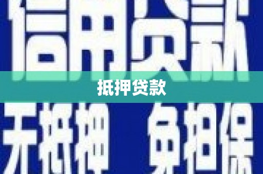 新华抵押贷款