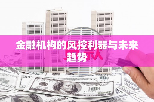 新华金融机构的风控利器与未来趋势