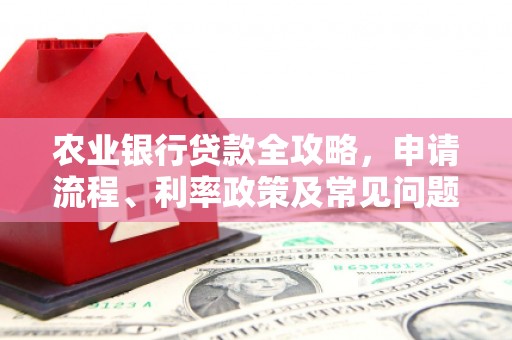 新华农业银行贷款全攻略，申请流程、利率政策及常见问题解析
