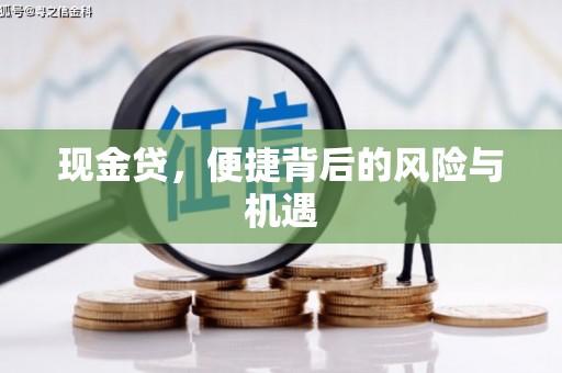 新华现金贷，便捷背后的风险与机遇