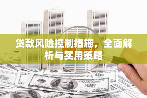 新华贷款风险控制措施，全面解析与实用策略