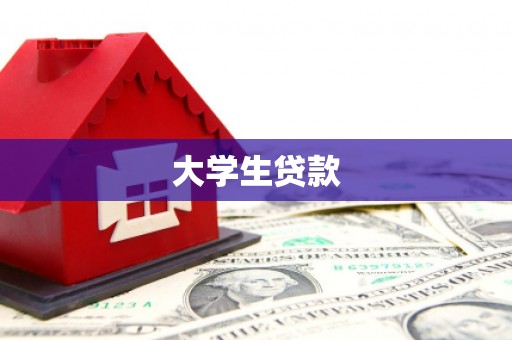 新华大学生贷款