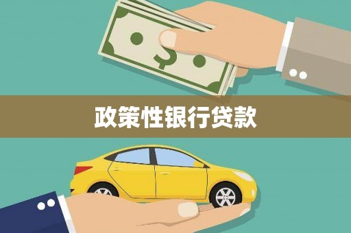 新华政策性银行贷款