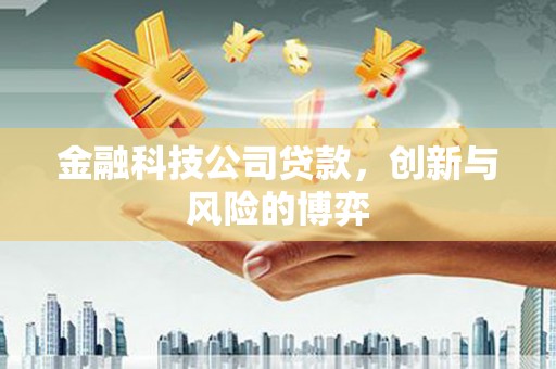 新华金融科技公司贷款，创新与风险的博弈