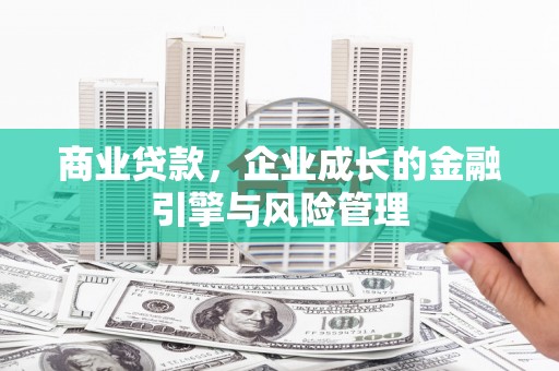 新华商业贷款，企业成长的金融引擎与风险管理