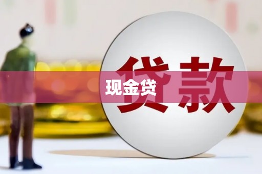 新华现金贷