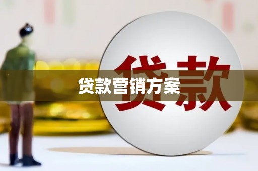 新华贷款营销方案