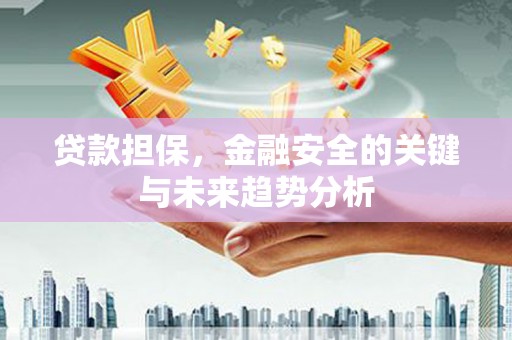 新华贷款担保，金融安全的关键与未来趋势分析