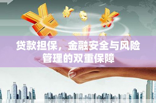 新华贷款担保，金融安全与风险管理的双重保障