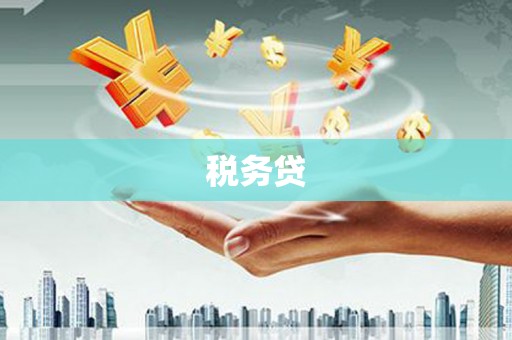 新华税务贷