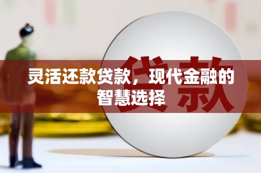 新华灵活还款贷款，现代金融的智慧选择