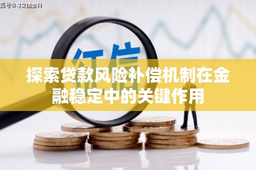 新华探索贷款风险补偿机制在金融稳定中的关键作用