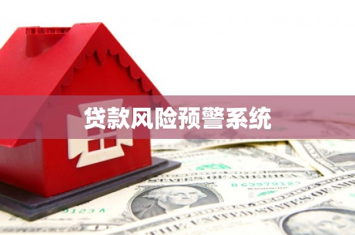新华贷款风险预警系统