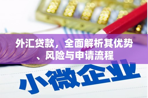 新华外汇贷款，全面解析其优势、风险与申请流程