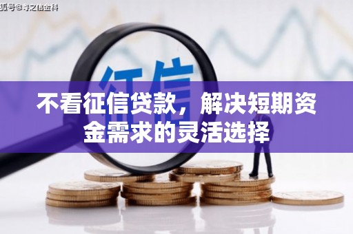 新华不看征信贷款，解决短期资金需求的灵活选择