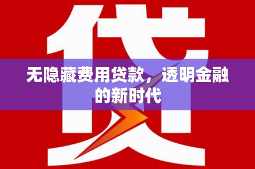 新华无隐藏费用贷款，透明金融的新时代