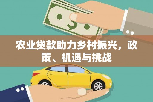 新华农业贷款助力乡村振兴，政策、机遇与挑战