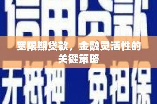 新华宽限期贷款，金融灵活性的关键策略