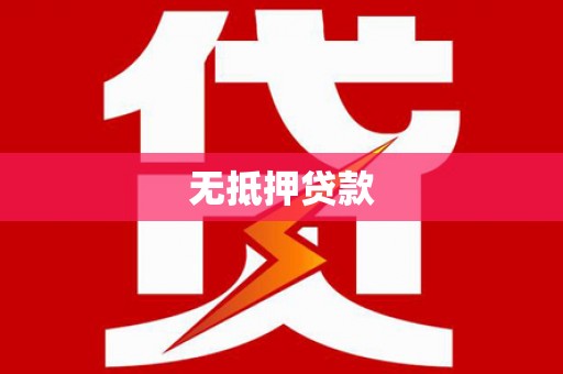 新华无抵押贷款
