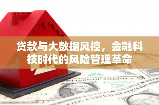 新华贷款与大数据风控，金融科技时代的风险管理革命