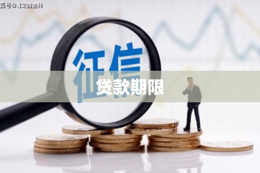 新华贷款期限