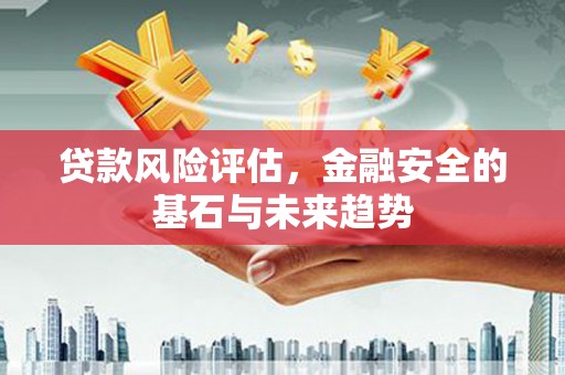 新华贷款风险评估，金融安全的基石与未来趋势