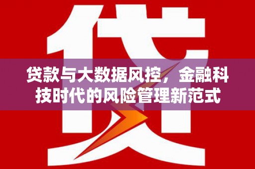 新华贷款与大数据风控，金融科技时代的风险管理新范式