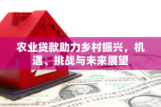 新华农业贷款助力乡村振兴，机遇、挑战与未来展望