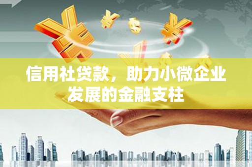 新华信用社贷款，助力小微企业发展的金融支柱