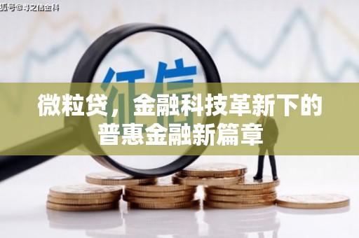 新华微粒贷，金融科技革新下的普惠金融新篇章