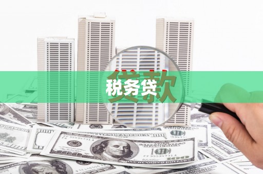 新华税务贷