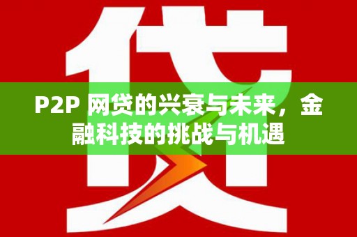 新华P2P 网贷的兴衰与未来，金融科技的挑战与机遇