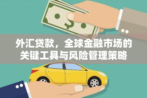 新华外汇贷款，全球金融市场的关键工具与风险管理策略