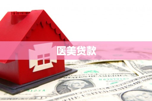 新华医美贷款