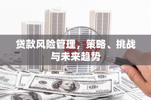 新华贷款风险管理，策略、挑战与未来趋势