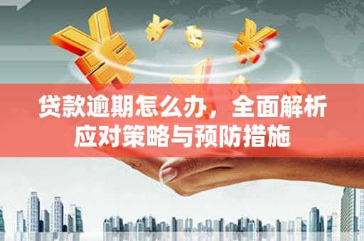 新华贷款逾期怎么办，全面解析应对策略与预防措施